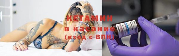 индика Пестово