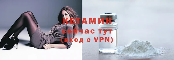индика Пестово