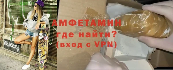 индика Пестово