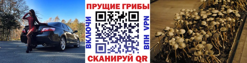 Галлюциногенные грибы Magic Shrooms  shop официальный сайт  Харабали  как найти наркотики 